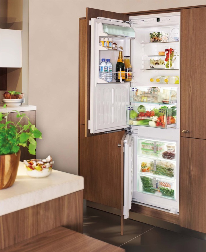 Как встраивается холодильник в кухонный гарнитур фото