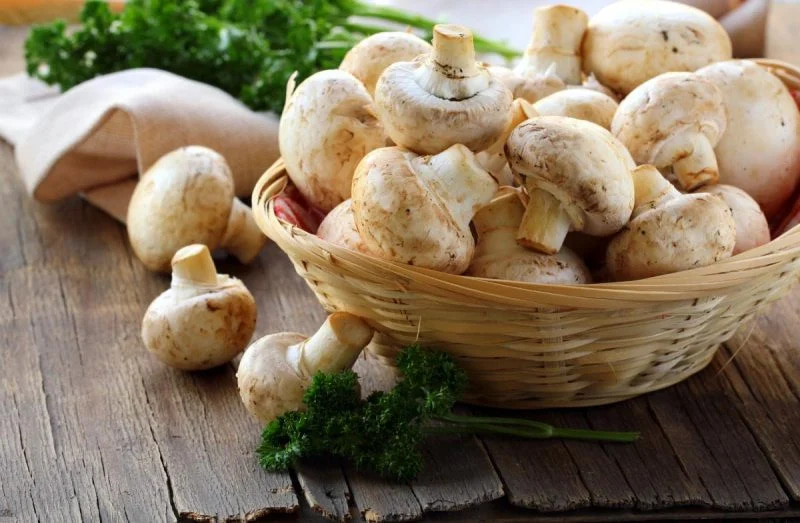 Можно ли хранить продукты и товары в холодильнике Можно ли хранить продукты и товары в холодильнике