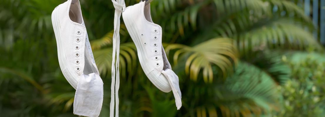 Заключение 