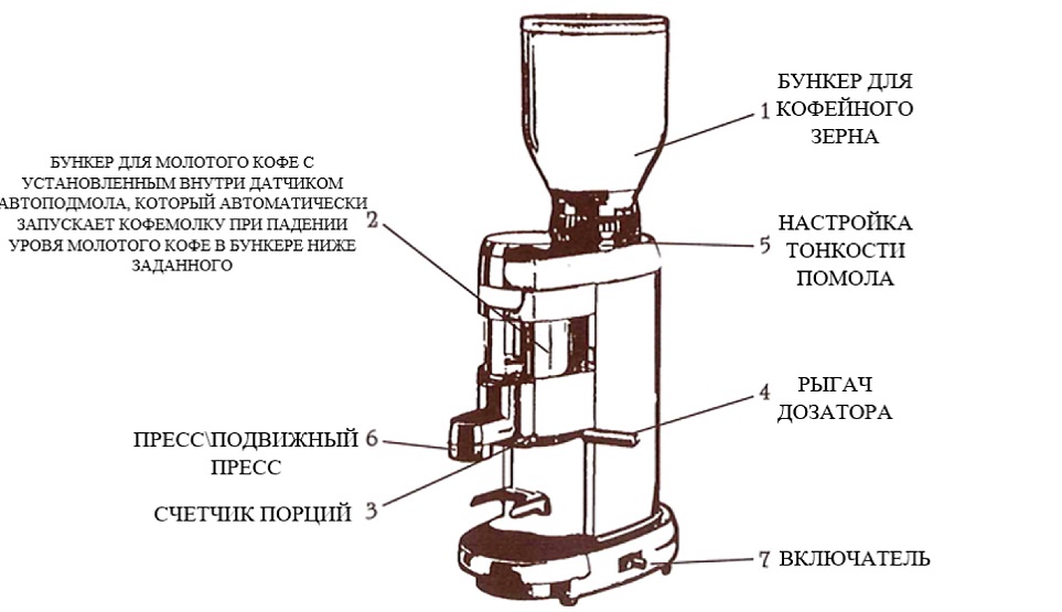 Как выбрать кофемолку Как выбрать кофемолку
