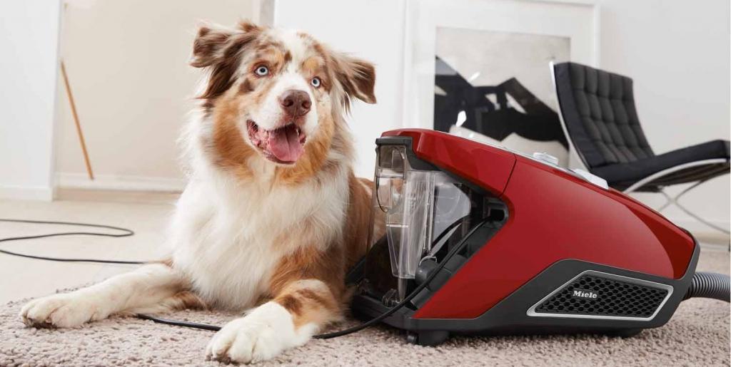 Miele — с заботой о том, что вам по-настоящему дорого. Новые пылесосы Blizzard. Miele — с заботой о том, что вам по-настоящему дорого. Новые пылесосы Blizzard.