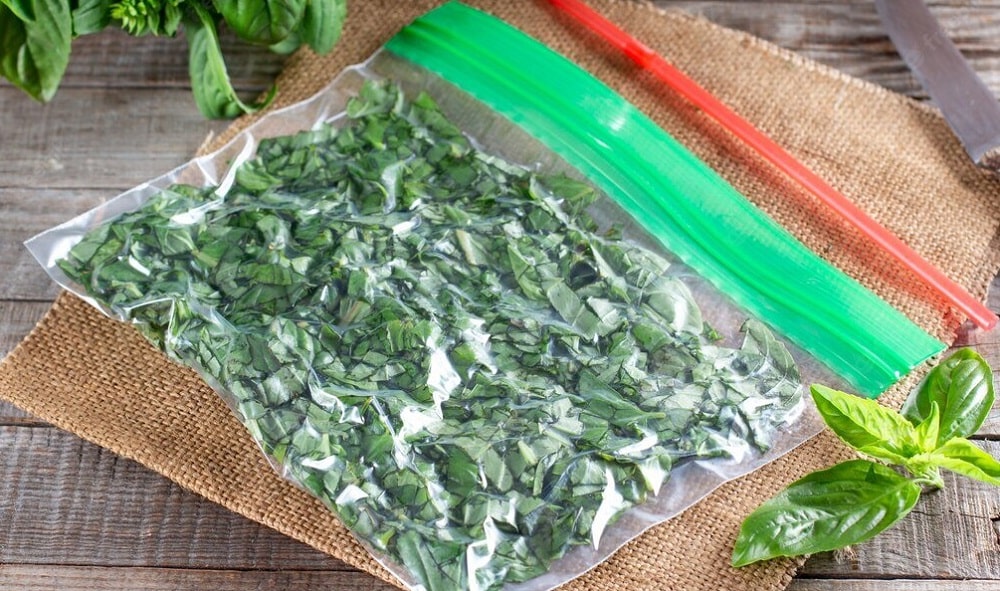 Как хранить зелень