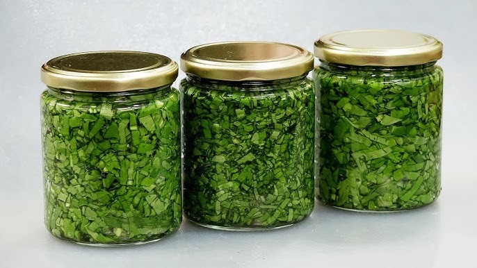 Как хранить зелень