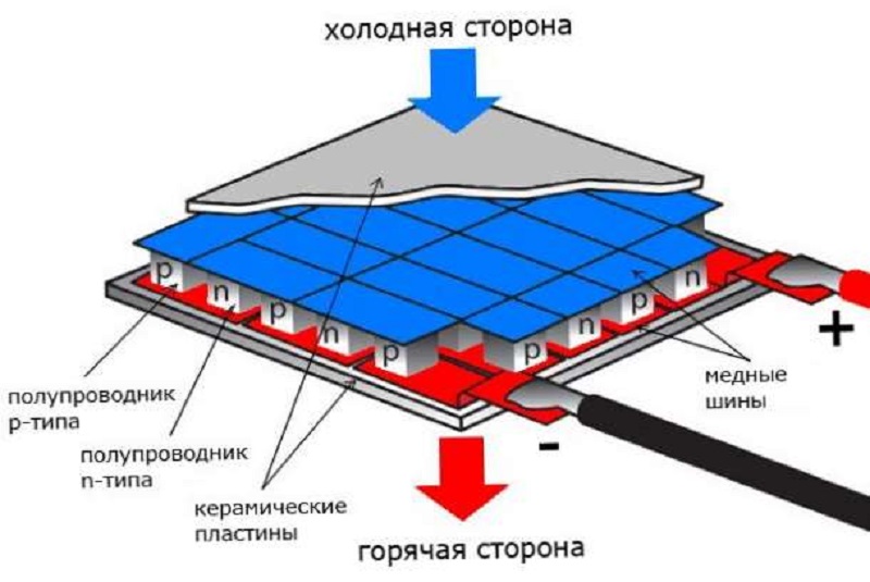 Как выбрать винный шкаф 