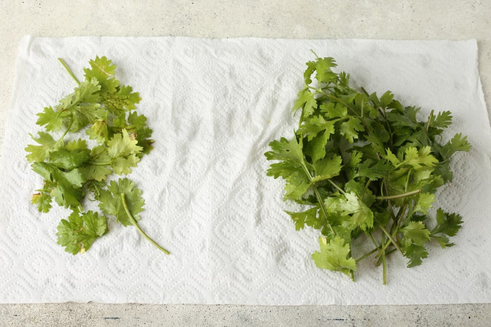 Как хранить зелень