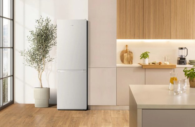 Двухкамерный холодильник Gorenje NRK61814W4 (preview 5)