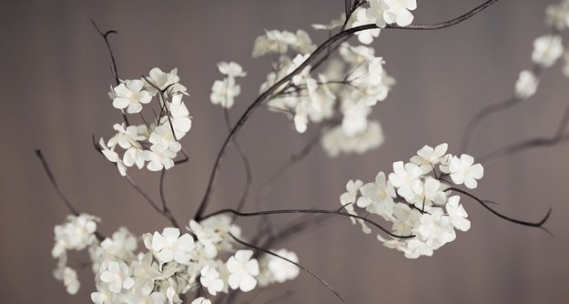 Стиральная машина Toshiba TW-T21BU90UWRU(MG) (video 1)