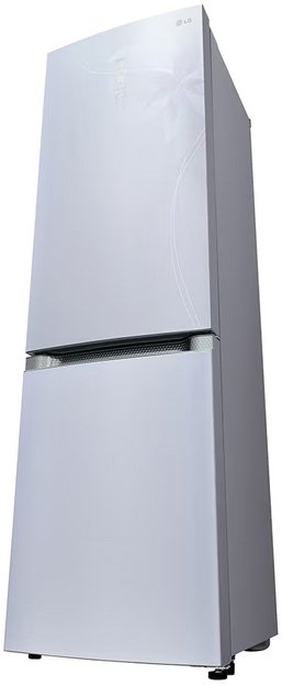 Холодильник LG GA-B 489 TGDF (preview 5)