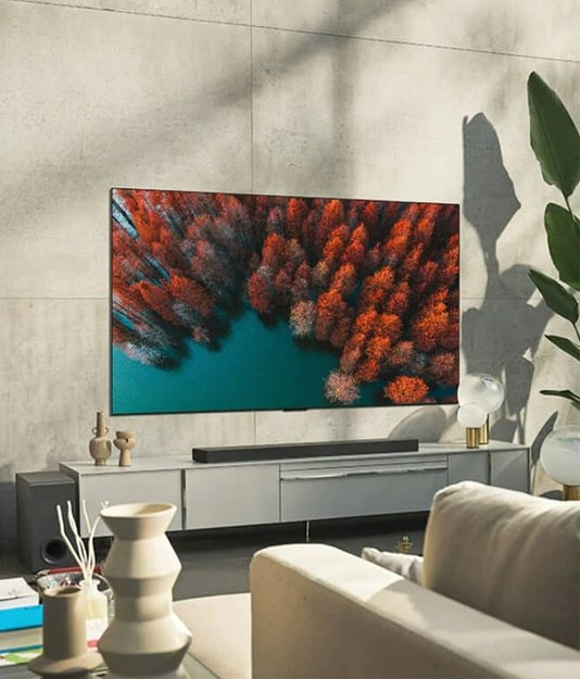 Телевизор LG OLED65G2 (фото 3) Телевизор LG OLED65G2 (preview 3)