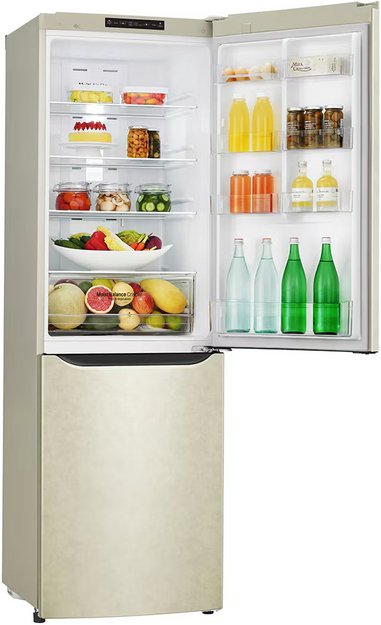 Холодильник LG GA-B 429 SECZ (preview 7)