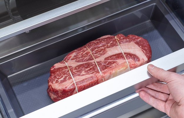 Встраиваемая морозильная камера Signature Kitchen Suite SKSCF2431P (preview 5)