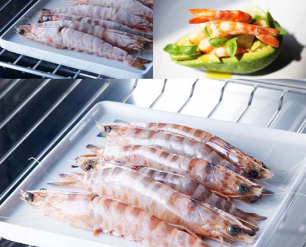 Встраиваемый шкаф шоковой заморозки Irinox Freddy 45 HF452350003 (текстурированная латунь/черный) (preview 11)