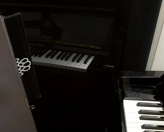 Монотемпературный винный шкаф EuroCave V-PURE-S P-300016-S (preview 3)