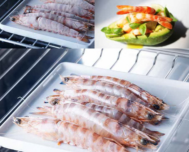 Встраиваемый шкаф шоковой заморозки Irinox Freddy 45 HF452350005 (текстурированная сталь/черный) (preview 11)