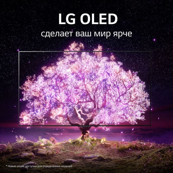Телевизор LG OLED65A1RLA (фото 9) Телевизор LG OLED65A1RLA (preview 9)