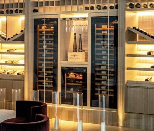 Встраиваемый монотемпературный винный шкаф EuroCave V-INSP-L I-090012-L (preview 4)