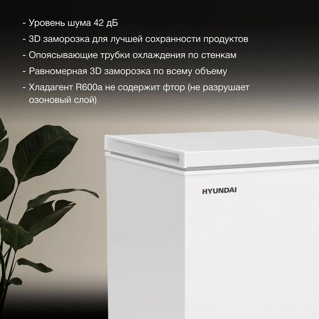 Морозильный ларь Hyundai CH10081 (preview 7)