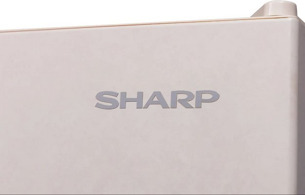 Холодильник Sharp SJ653GHXJ52R (preview 4)