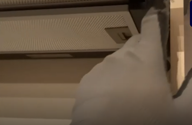 Вытяжка Korting KHP 6880 GN (video 3)