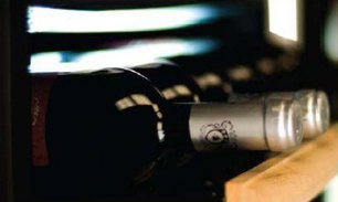 Винный шкаф IP CEX 2501 CU фото 2 в Краснодаре