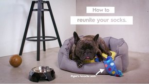 Стиральная машина Electrolux EW8F1R69SA фото 3 в Краснодаре