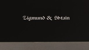 Духовой шкаф Зигмунд Штайн EN 132.921 S фото 4 в Краснодаре Духовой шкаф Zigmund Shtain EN 132.921 S фото 4 в Краснодаре