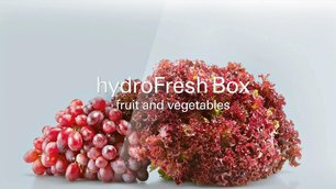 Холодильник Сименс KG 49NAI22R фото 3 в Краснодаре Холодильник Siemens KG 49NAI22R фото 3 в Краснодаре