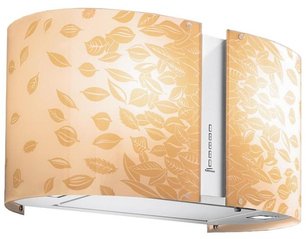 Вытяжка Фалмек Mirabilia 67 Natura Gold vetro (800) ECP фото в Краснодаре Вытяжка Falmec Mirabilia 67 Natura Gold vetro (800) ECP фото в Краснодаре