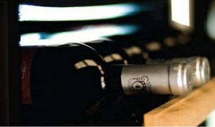 Винный шкаф IP NCK 501 CF фото 2 в Краснодаре