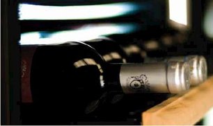 Винный шкаф IP C 150 CF фото 3 в Краснодаре