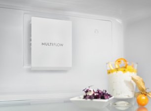 Холодильник Электролюкс RRT5MF38W1 фото 2 в Краснодаре Холодильник Electrolux RRT5MF38W1 фото 2 в Краснодаре