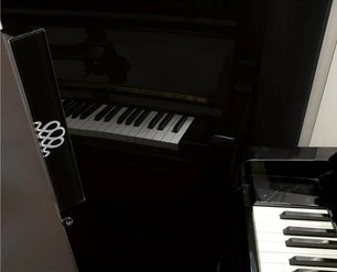 Монотемпературный винный шкаф EuroCave V-REVEL-S R-400016-S2W фото 3 в Краснодаре