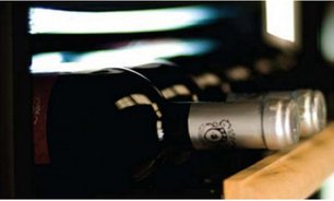 Винный шкаф IP NCK 151 CF фото 2 в Краснодаре