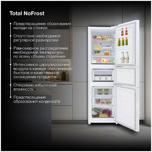 Холодильник Hyundai CM30073F белый фото 4 в Краснодаре