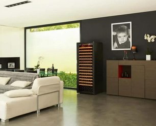 Монотемпературный винный шкаф EuroCave V-PURE-L P-300048-L фото 3 в Краснодаре