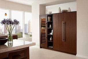 Встраиваемый холодильник Sub-Zero ICBIC-30RID-LH фото 3 в Краснодаре Встраиваемый холодильник Sub-Zero ICBIC-30RID-LH фото 3 в Краснодаре