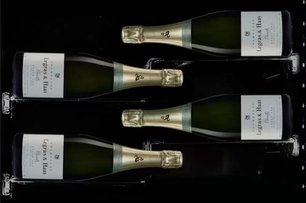 Винный шкаф Дунавокс DX-58.258DSS фото 3 в Краснодаре Винный шкаф Dunavox DX-58.258DSS фото 3 в Краснодаре