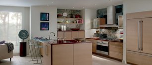 Вытяжка Wolf ICBVW30S фото 4 в Краснодаре