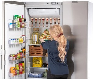 Холодильник с морозильной камерой Фестиво 120 CFM 120CFM531 (серый/нержавеющая сталь) фото 3 в Краснодаре Холодильник с морозильной камерой Festivo 120 CFM 120CFM531 (серый/нержавеющая сталь) фото 3 в Краснодаре