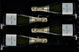 Винный шкаф Дунавокс DX-58.258DB фото 3 в Краснодаре Винный шкаф Dunavox DX-58.258DB фото 3 в Краснодаре