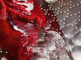 Стиральная машина Miele WDD030 фото 4 в Краснодаре