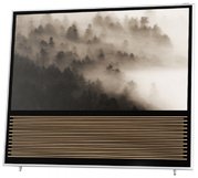 Телевизор Бэнг Олуфсен BeoVision 14-55 фото 2 в Краснодаре Телевизор Bang & Olufsen BeoVision 14-55 фото 2 в Краснодаре