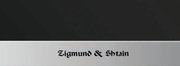Духовой шкаф Zigmund Shtain EN 59.511 S фото 3 в Краснодаре