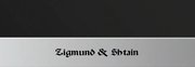 Духовой шкаф Zigmund Shtain EN 59.512 S фото 3 в Краснодаре