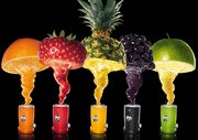 Соковыжималка NOVIS Vita Juicer желтая фото 4 в Краснодаре Соковыжималка NOVIS Vita Juicer желтая фото 4 в Краснодаре