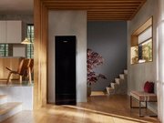 Сушильный шкаф Miele Aerium LC 860 WP OBSW фото 2 в Краснодаре