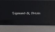 Духовой шкаф Zigmund Shtain EN 142.921 S фото 4 в Краснодаре
