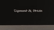 Духовой шкаф Zigmund Shtain EN 132.921 S фото 4 в Краснодаре