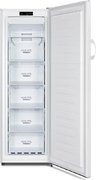 Морозильный шкаф Gorenje FN4171CW фото 2 в Краснодаре