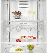 Холодильник AEG RCB63726OW фото 3 в Краснодаре